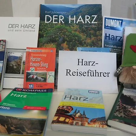 Appartamento Harzgenuss Braunlage Esterno foto